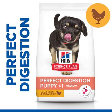 Hill's Science Plan Perfect Digestion Puppy Pollo pienso